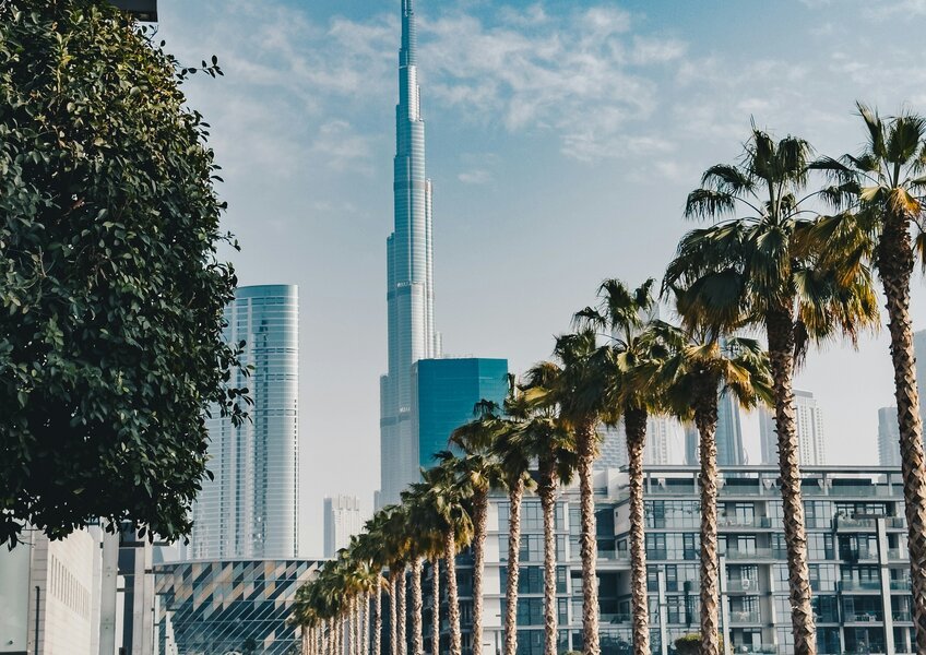 Palm-lined street with high-rise towers in Dubai